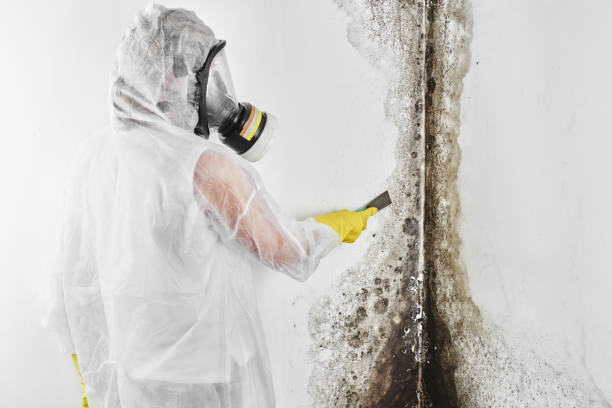 Mold Removal for HVAC Installations in Salem, OR